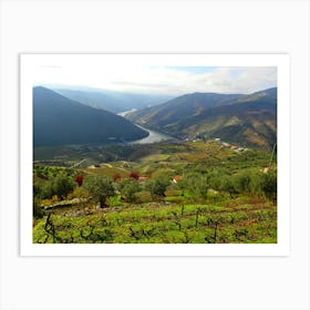 Douro Valley Art Print