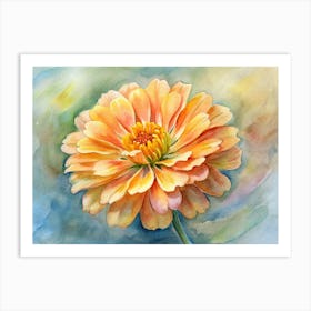 Zinnia 1 Art Print