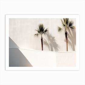 Shadows From Palm Tress On An White Wall Summer Photography Art Print