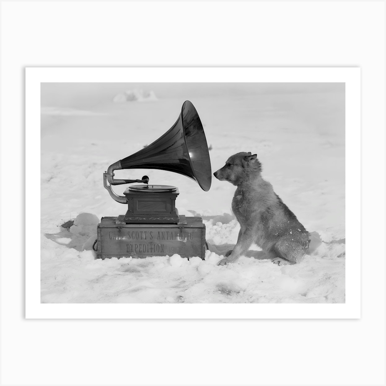Dog Listening To Gramophone, Vintage Black and White Old Photo Art Print by Vibrant Vintage