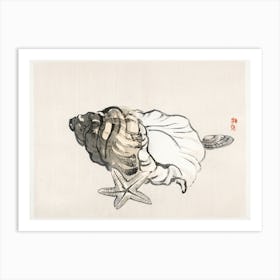 Star Fish And Conch, Kōno Bairei Art Print