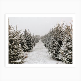 Christmas Tree Farm Art Print