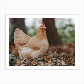 Fall Chicken Art Print