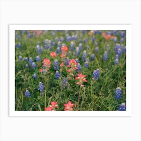 Texas Bluebonnet Field II on Film Art Print