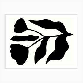 Black And White Leaf Art Print