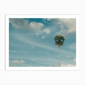 Lonely Palm Tree Art Print