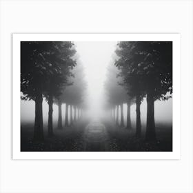 Foggy Path 3 Art Print