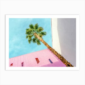 Saguaro Palm Springs Palm Tree with Pink and White Walls Art Print