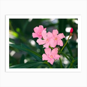 Tropical Pink Flowers Art Print