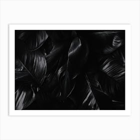 Black And White Leaves Art Print