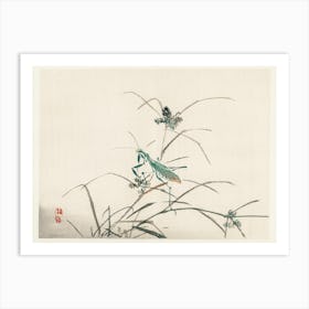 Grasshopper, Kōno Bairei Art Print