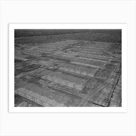 Untitled Photo, Possibly Related To Migrant Camp Under Construction, Sinton, Texas By Russell Lee Art Print