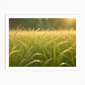 A Close Up Shot Of Tall Grass Blades With Dew Drops In A Field At Sunrise, Highlighting The Beauty And Tranquility Of Nature Art Print