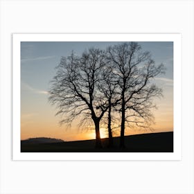 Silhouette of trees at sunset 1 Art Print