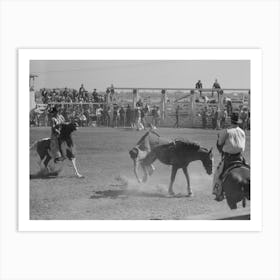 Rodeo Performer Being Bucked Off Bronco During The Rodeo At The San Angelo Fat Stock Show, San Angelo Art Print