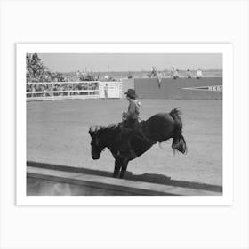 Untitled Photo, Possibly Related To Fancy Riding Demonstration At The Rodeo Of The San Angelo Fat Stock Show 1 Art Print