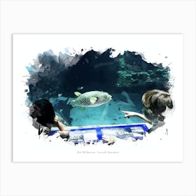 Reef Hq Aquarium, Townsville, Queensland Art Print