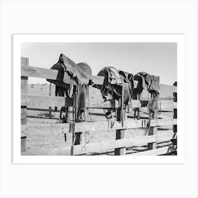 Saddles On Fence, Western Aesthetic, Vintage Black and White Old Photo 1 Art Print