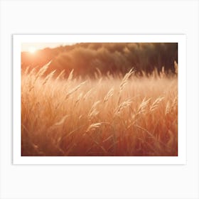 An Image Of A Field Of Tall Grass In The Golden Light Of Sunset Art Print