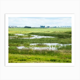 Iowa Wetland Landscape Art Print