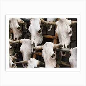 Cow Skulls Art Print