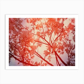 Magnolia Tree In Red Flare Art Print