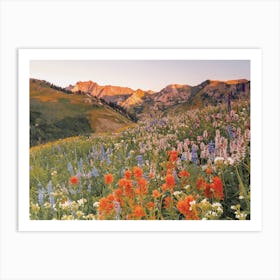 Moutainside Wildflowers Art Print