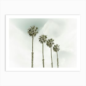 California Palm Trees Art Print