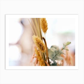 Dried Flowers // Nature Photography Art Print