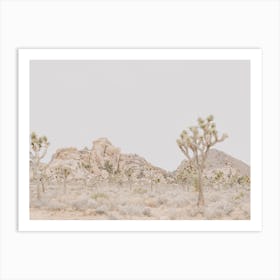 Desert Mountain View Art Print