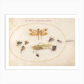 A Dragonfly, A Grasshopper, Flies, And Other Insects, Joris Hoefnagel Art Print