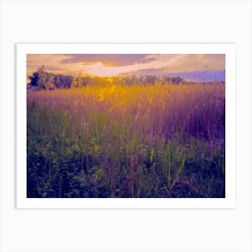 Sunset Over Tall Grass Art Print