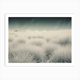 A Field Of Tall, White Grass In A Hazy, Dreamy Setting Art Print