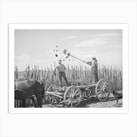 The Old Method Of Getting Rid Of Manure, Throwing It Over The Fence, Box Elder County, Utah By Russell Lee Art Print