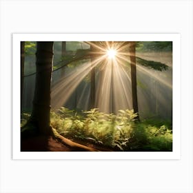 Forest With Sunbeams 12 Art Print