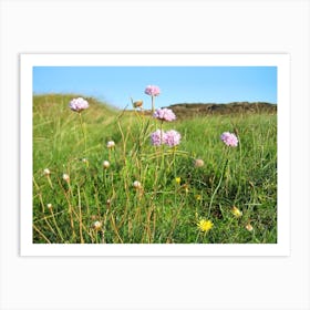 Wildflowers Art Print