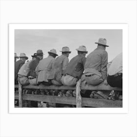 West Texans Sitting On Fence At Horse Auction, Eldorado, Texas By Russell Lee Art Print