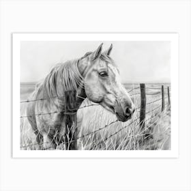 Horse By The Fence Art Print