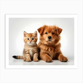 Dog And Cat 09 Art Print