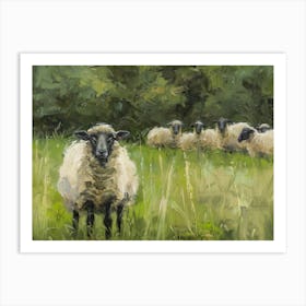 Sheep In The Meadow Art Print