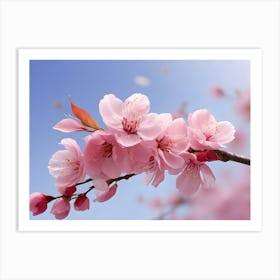 Cherry Blossoms Art Print