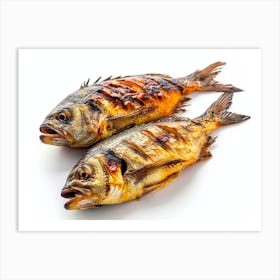 Two Grilled Fish On White Background Art Print