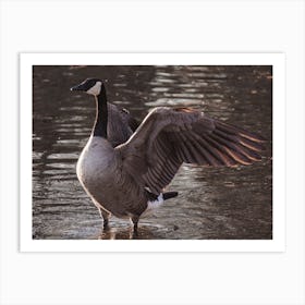 Goose Flapping Wings Art Print