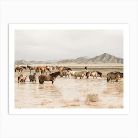 Wild Horse Scenery Art Print