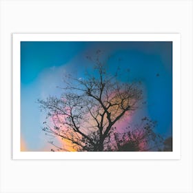 Sunset Tree 1 Art Print