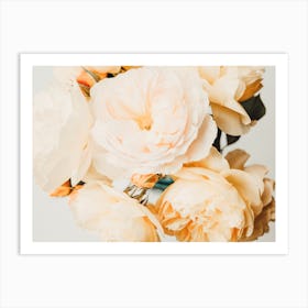 Yellow Roses Art Print