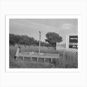 Strawberry Roadside Stand, Near Madison, Wisconsin By Russell Lee Art Print