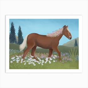 Horse In Flower Meadow Art Print