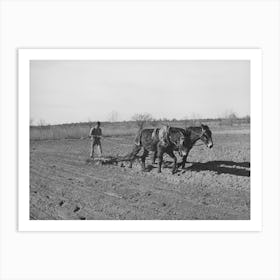 Son Of Pomp Hall, Tenant Farmer, Plowing, See General Caption Number 23, Creek County, Oklahoma By Russel Art Print
