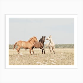 Three Horses Art Print